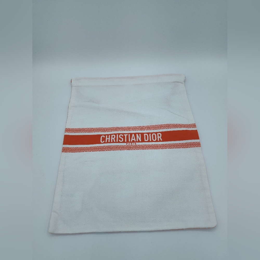 Dior 2023 Toile de Jouy Orange Dust Bag 11x13 Limited GWP Pristine NWOT